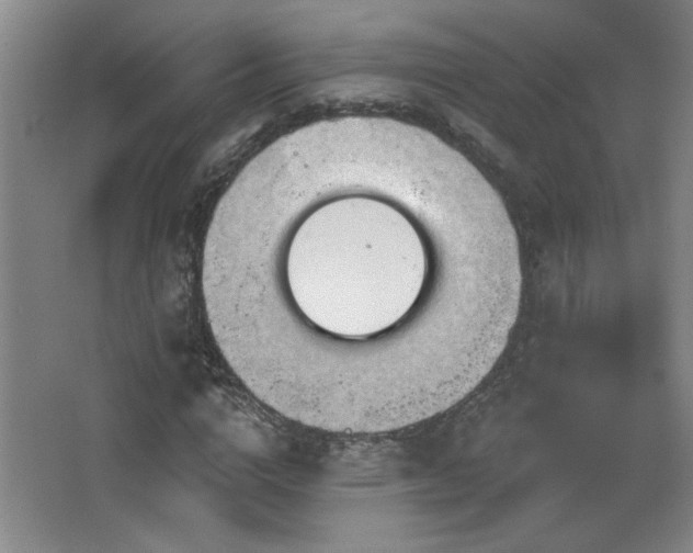 X0000068740824200604281137