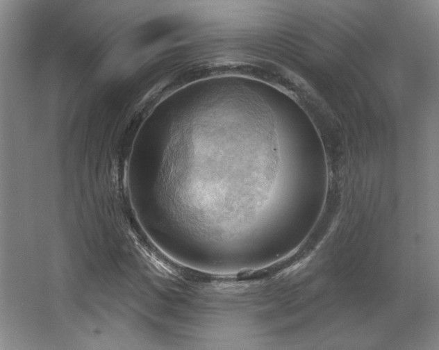 X0000068740825200604281137