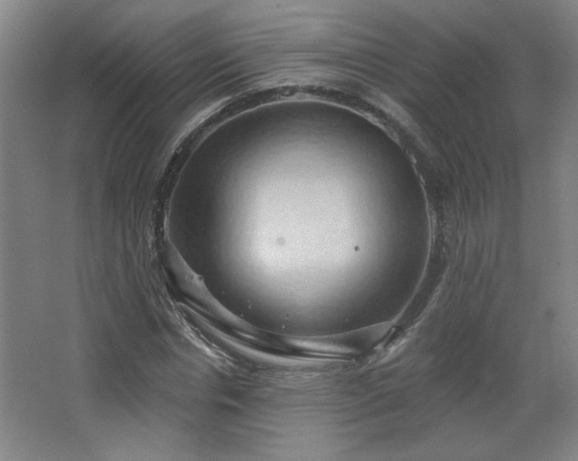 X0000068740826200604281137