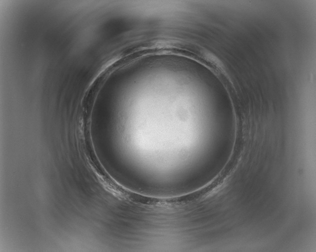 X0000068740827200604281137