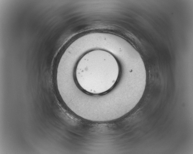 X0000068740828200604281137