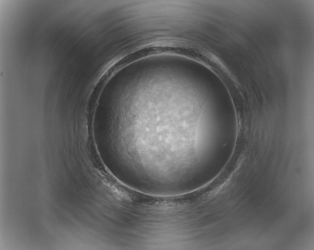 X0000068740829200604281137