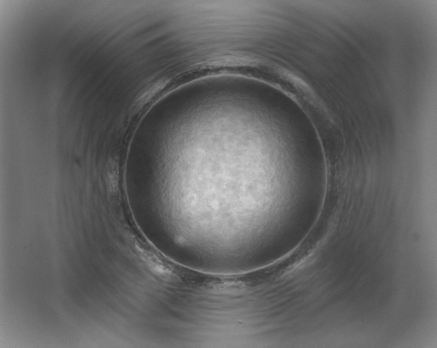 X0000068740833200604281137