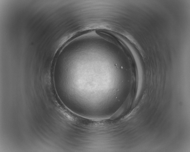 X0000068740834200604281137