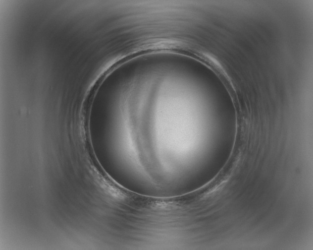 X0000068740835200604281137