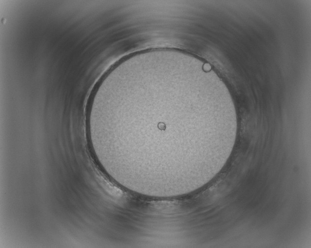 X0000068740836200604281137