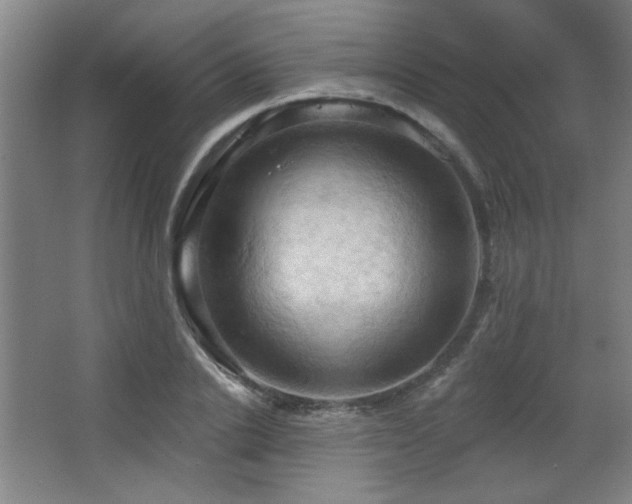 X0000068740838200604281137