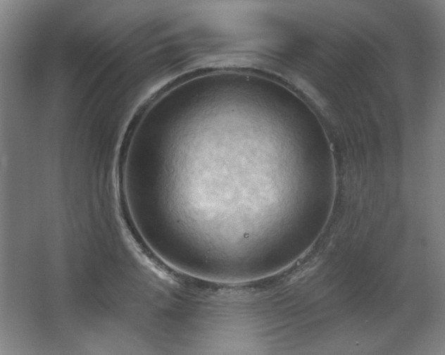 X0000068740840200604281137