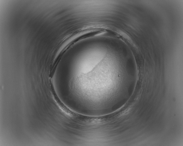 X0000068740841200604281137