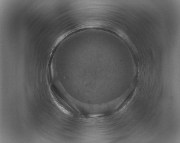 X0000068740842200604281137