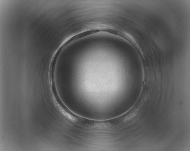 X0000068740843200604281137