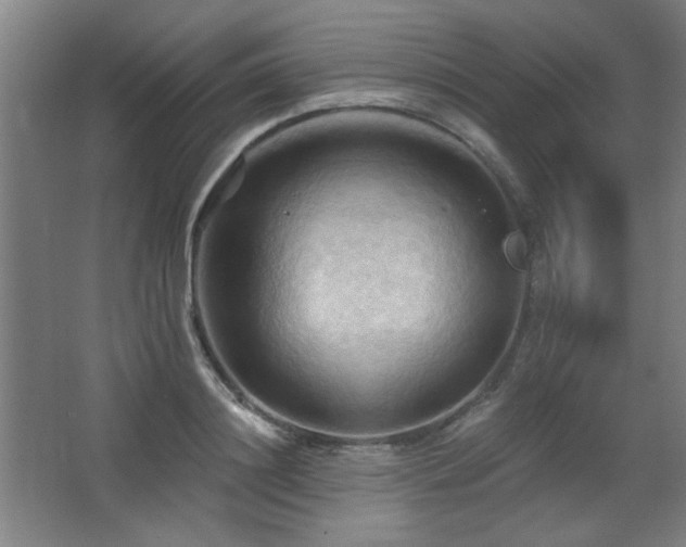 X0000068740844200604281137