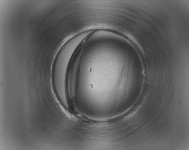 X0000068740845200604281137