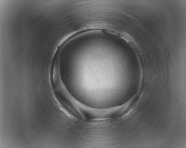 X0000068740846200604281137