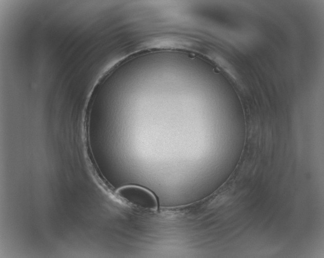 X0000068740848200604281137