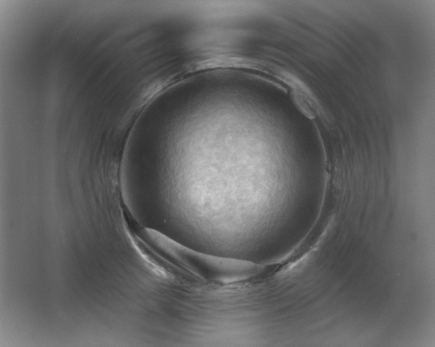 X0000068740849200604281137