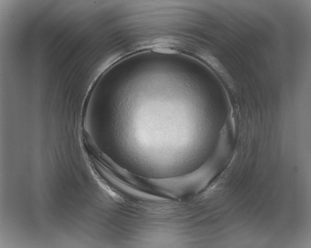 X0000068740850200604281137