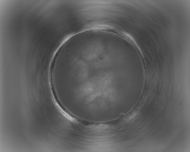 X0000068740851200604281137