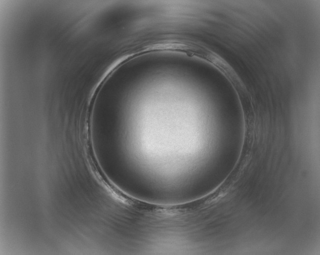 X0000068740852200604281138