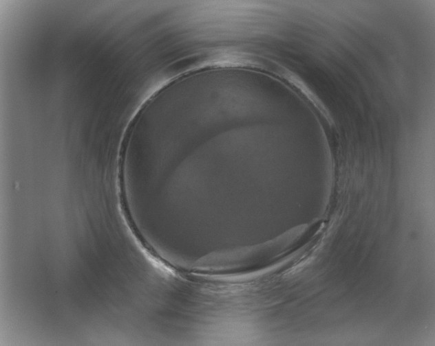 X0000068740853200604281138