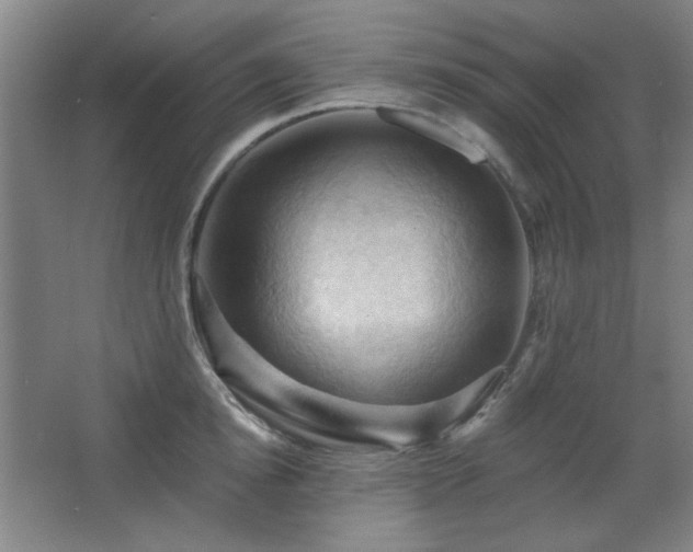 X0000068740854200604281138