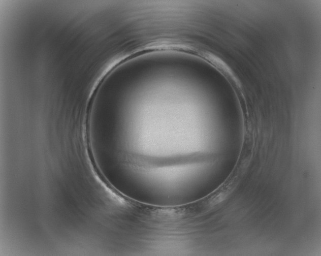 X0000068740855200604281138