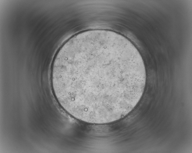 X0000068740856200604281138