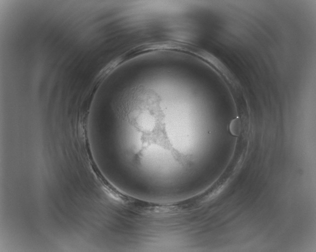 X0000068740857200604281138