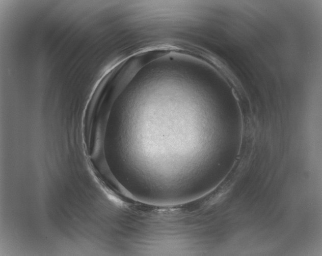 X0000068740858200604281138