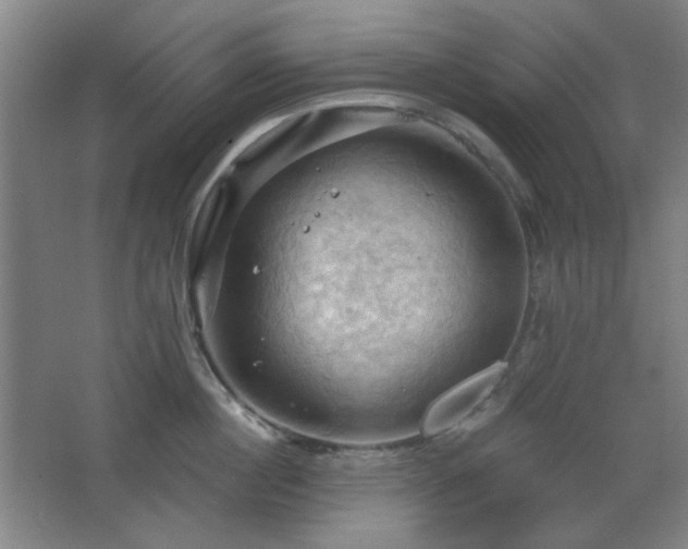 X0000068740860200604281138