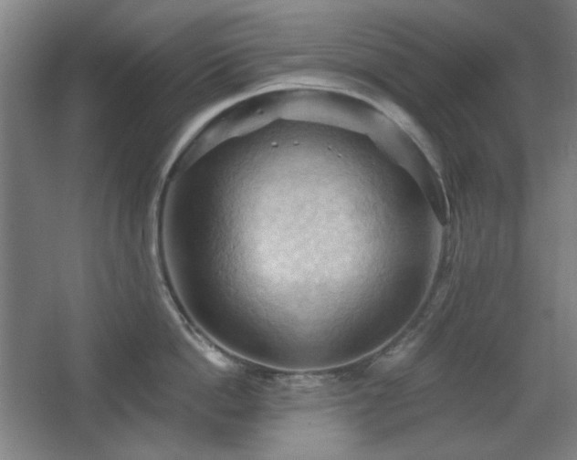 X0000068740862200604281138