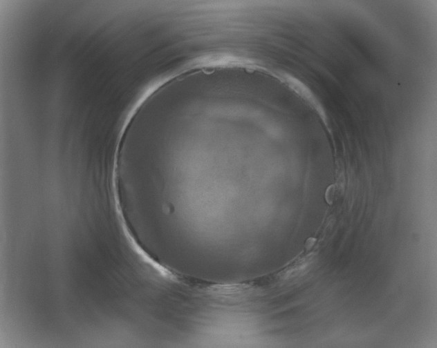 X0000068740863200604281138