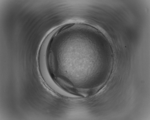 X0000068740864200604281138