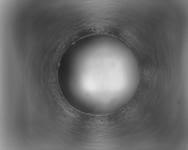 X0000068740865200604281137