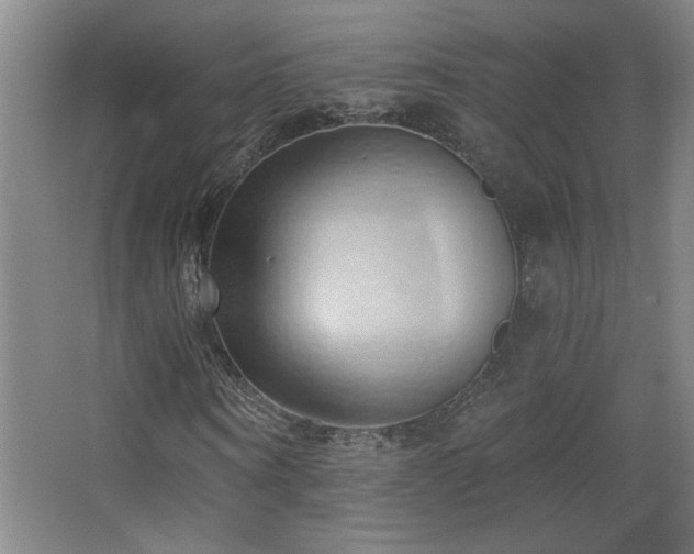 X0000068740866200604281137