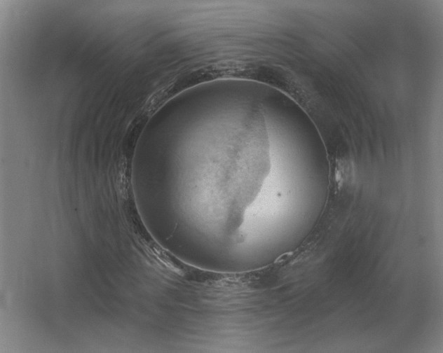 X0000068740867200604281137