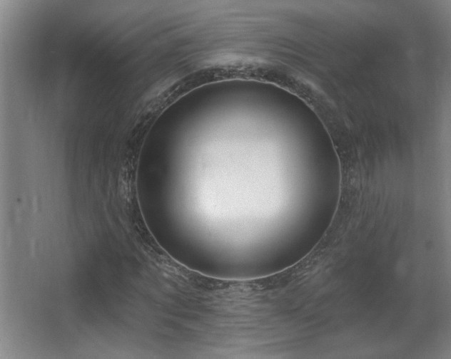 X0000068740869200604281137