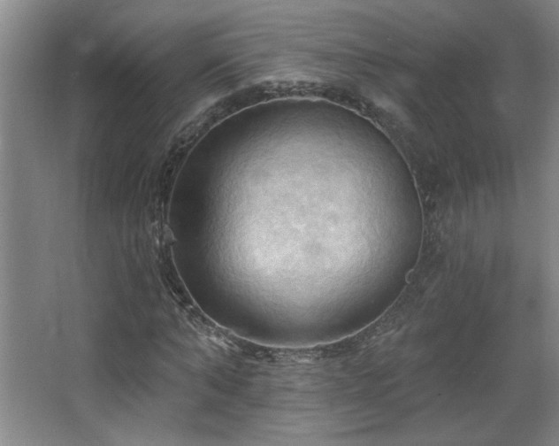 X0000068740870200604281137