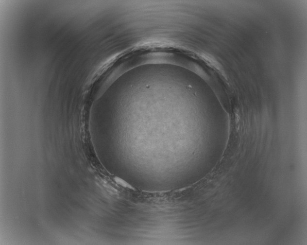 X0000068740872200604281137