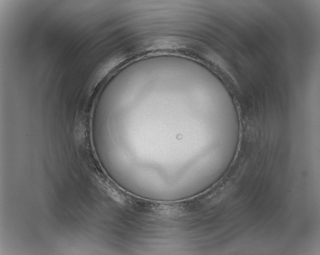 X0000068740874200604281137