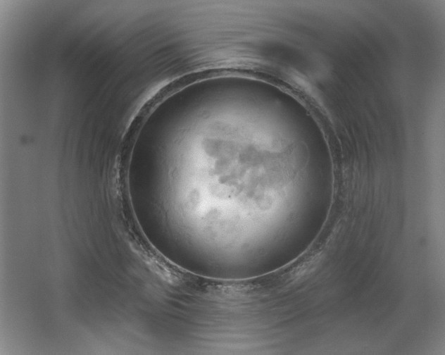 X0000068740875200604281137