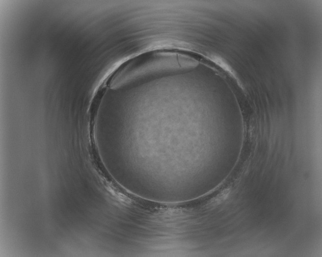 X0000068740877200604281137