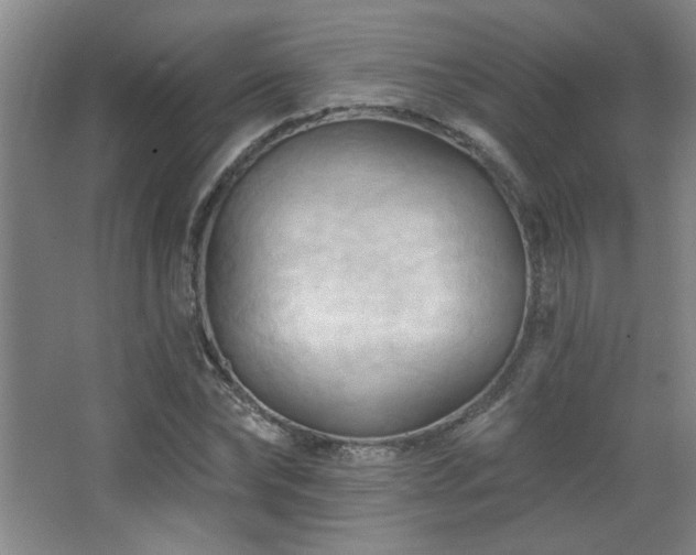 X0000068740878200604281137