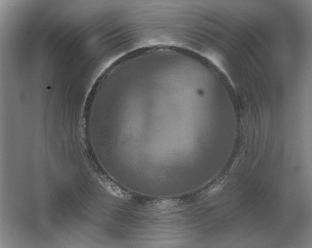 X0000068740879200604281137