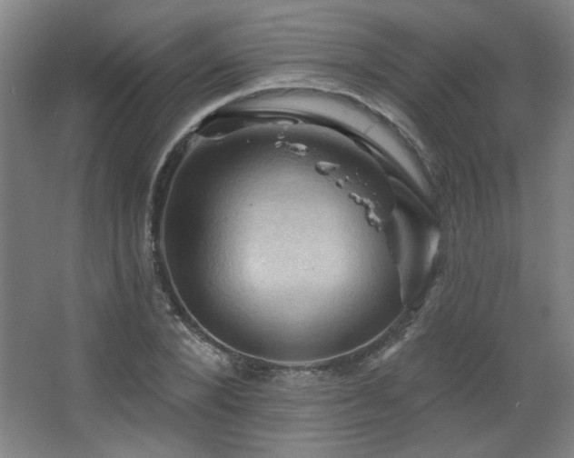 X0000068740880200604281137