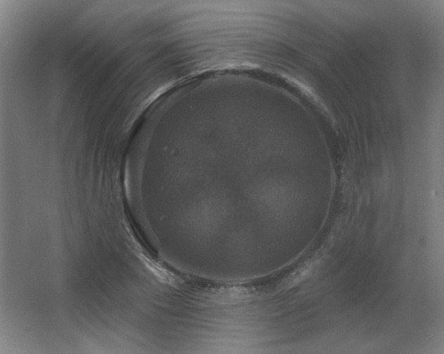 X0000068740881200604281137