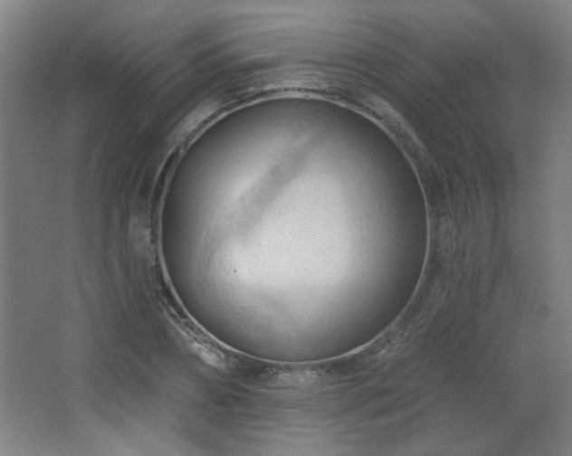 X0000068740882200604281137