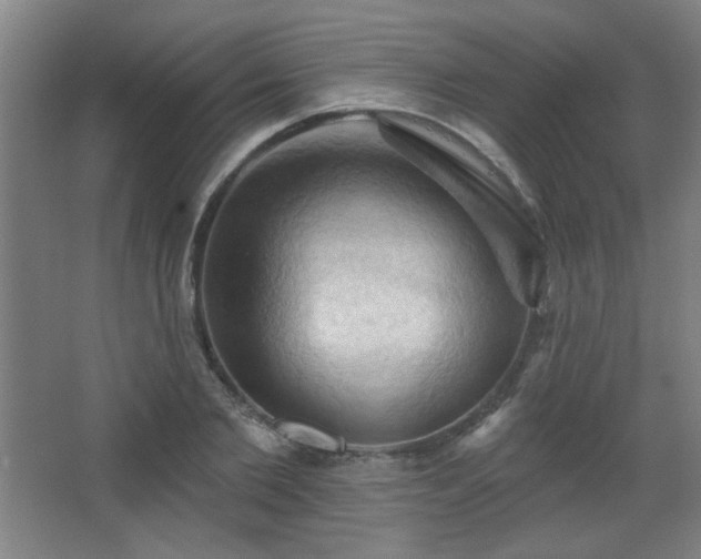 X0000068740885200604281137