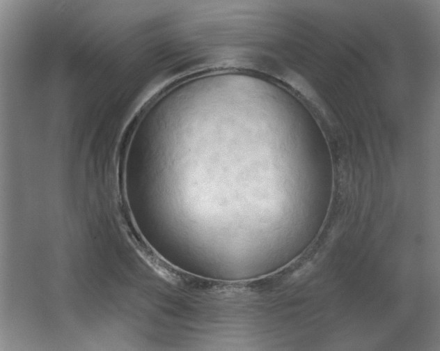 X0000068740886200604281137