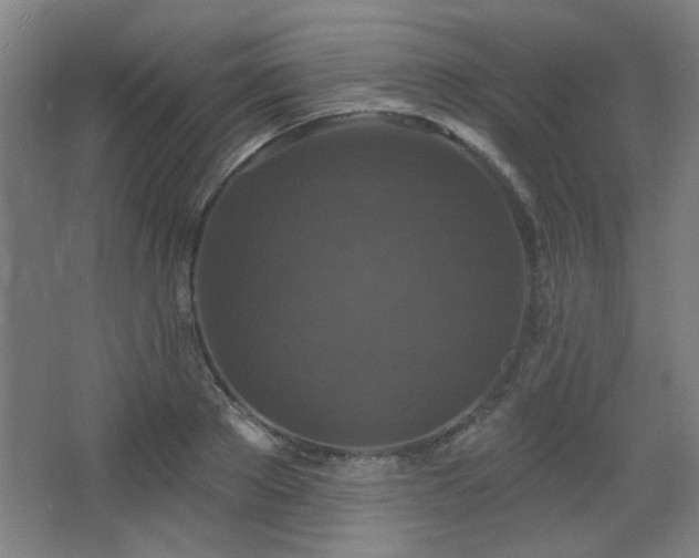 X0000068740889200604281136